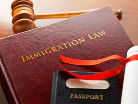 Immigration Lawyer